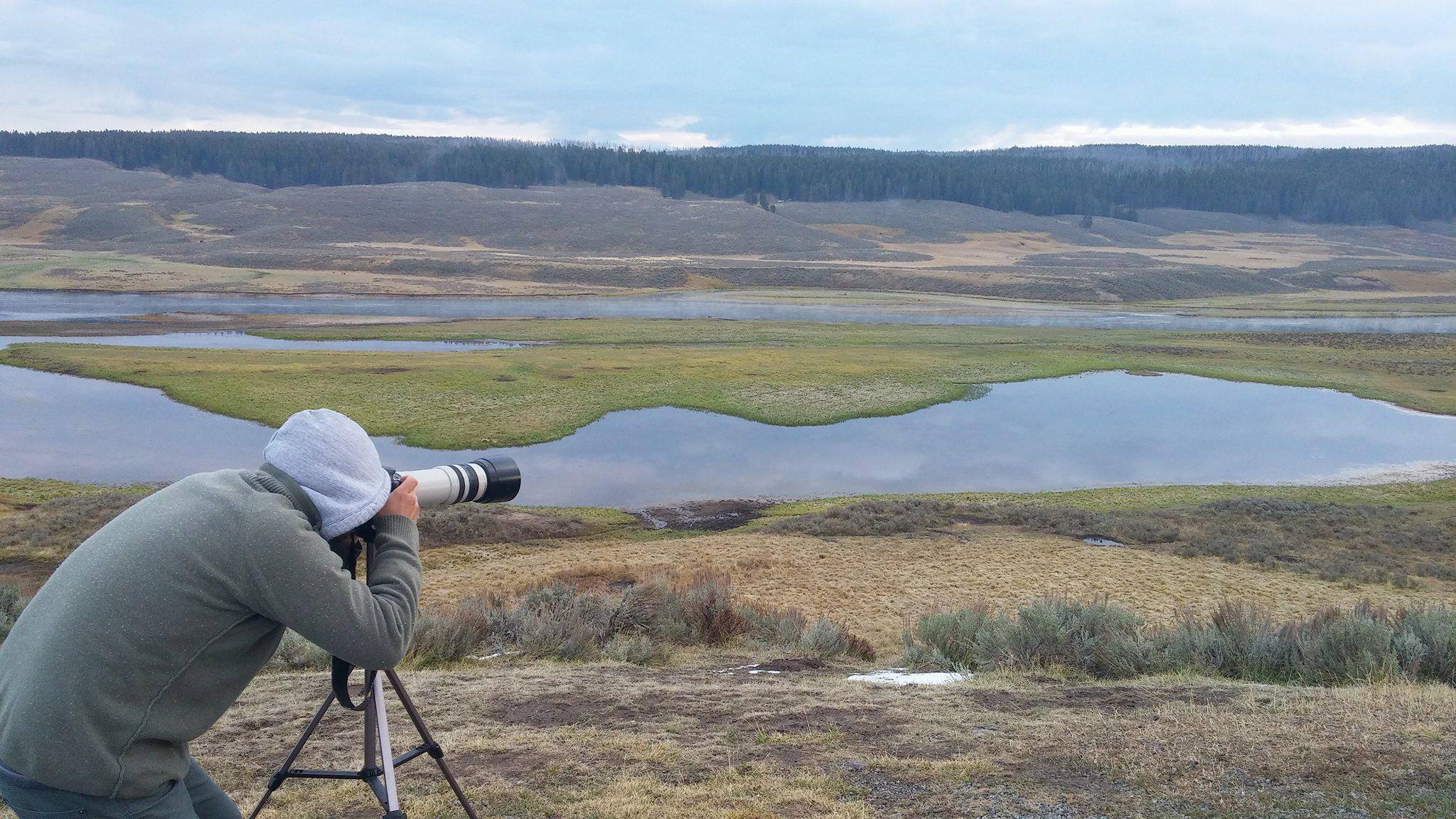 Looking over the grassland